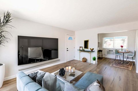 A living room with a grey couch and a television.