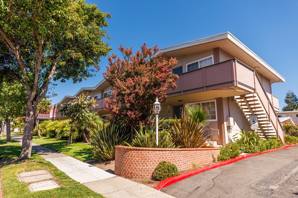 a house with a sidewalk and a tree in front of it