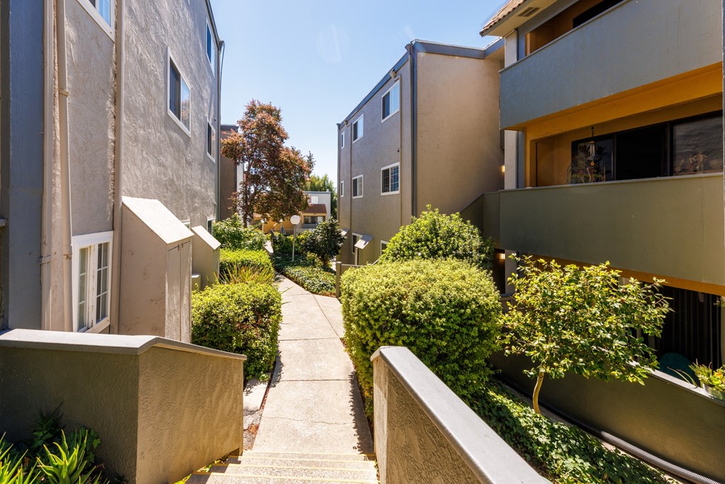 A pathway with a wall on one side and a hedge on the other, with buildings in the background.