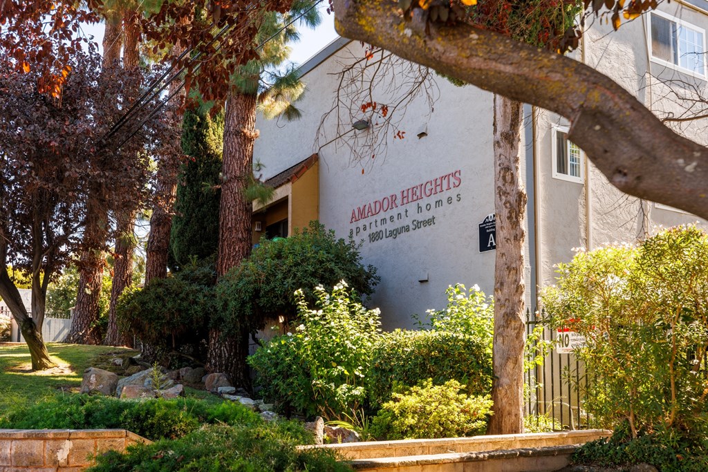 A tree branch is in the foreground of a building with a sign that says Camador Heights Apartment Homes.
