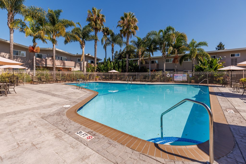 a swimming pool with palm trees and buildings in the background