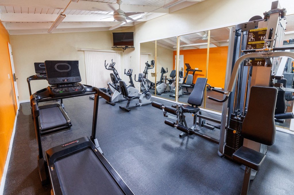 a gym with cardio equipment and weights on the floor