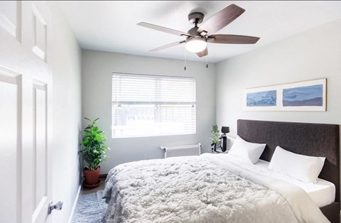 A bedroom with a bed, a ceiling fan, and a window with blinds.