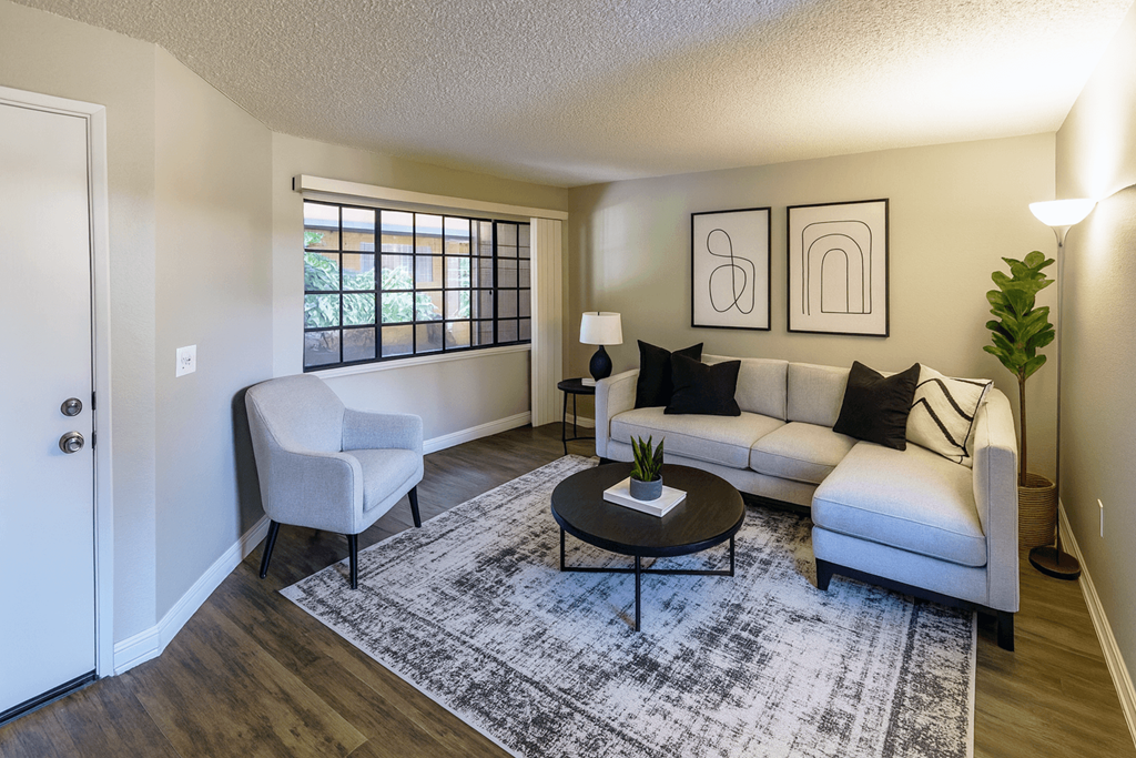 A living room with a grey sofa, a white chair, and a black and white rug.