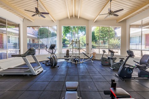 A spacious gym with treadmills, exercise bikes, and elliptical machines.