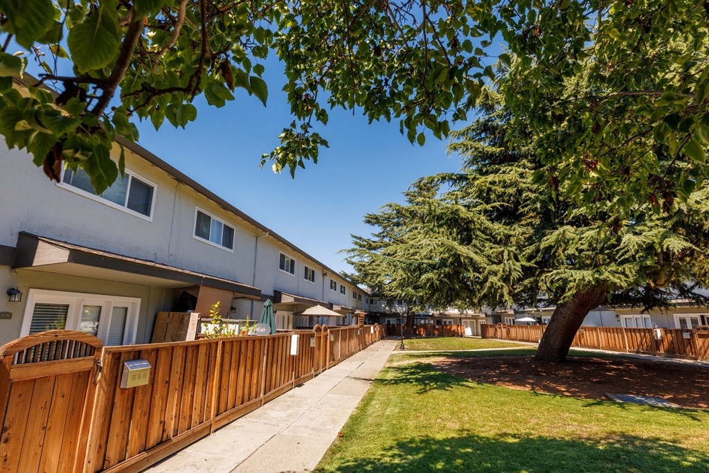 A tree in a grassy area in front of apartment buildings.