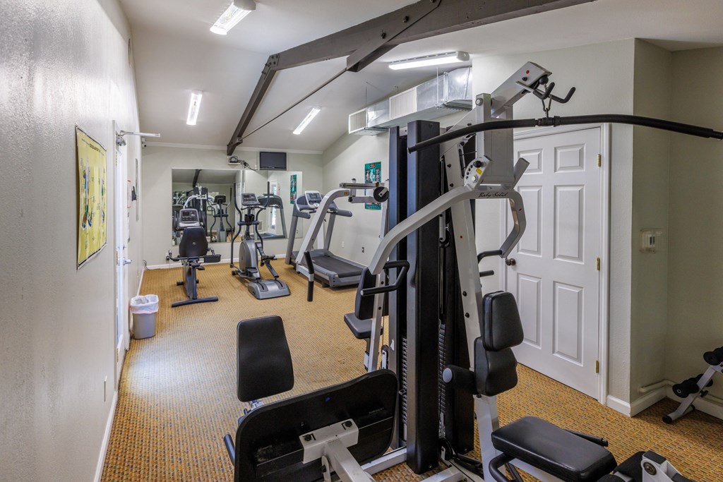 A well-equipped gym with a variety of machines and weights.