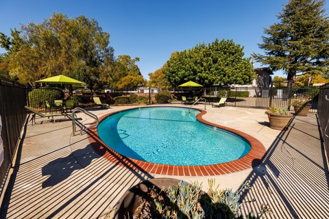 A small pool surrounded by a deck and trees.