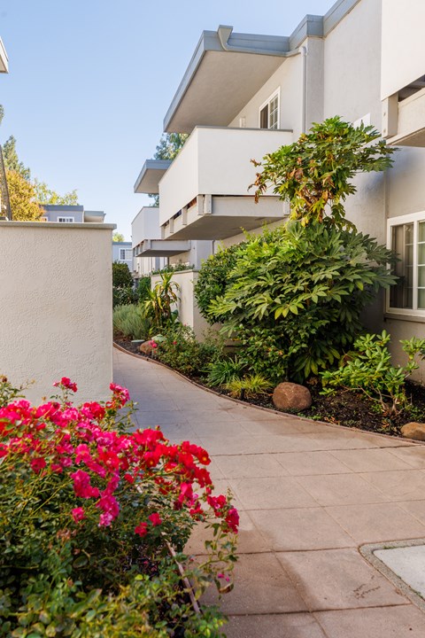 A residential area with a pathway and flowering plants.
