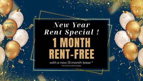 A New Year Rent Special offering a 1 month rent-free period with a new 13-month lease.