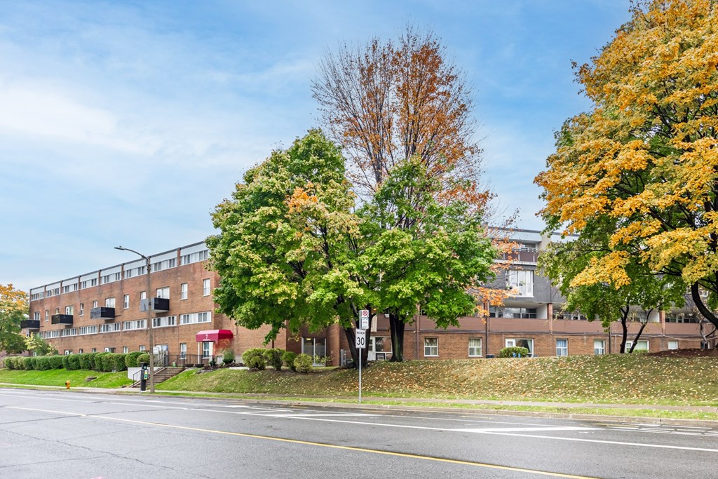 A tree with orange leaves stands next to a tree with green leaves.
