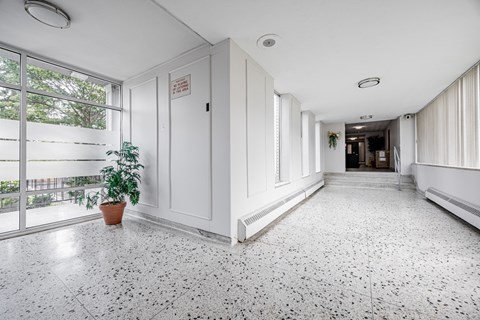 A hallway with white walls and a tiled floor with a potted plant on the left.