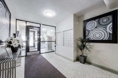 A hallway with a bench, potted plant, and a framed picture on the wall.