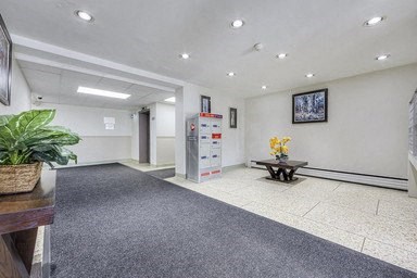 A reception area with a grey carpet and a wooden table with a plant on it.