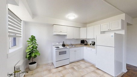 A white kitchen with a plant on the left.