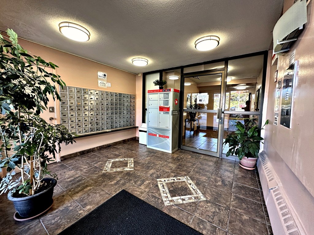 A hallway with a black mat on the floor and a plant on the left side.