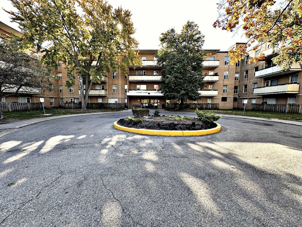 A roundabout with a yellow border in the middle of a paved area with trees and buildings in the background.