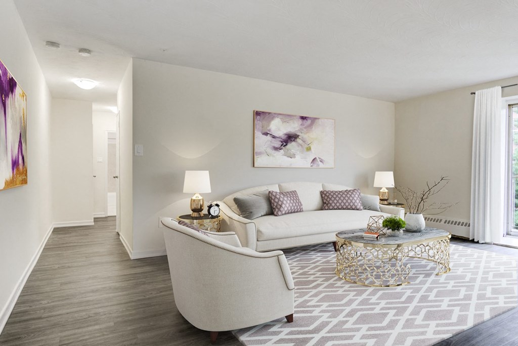 A living room with a grey couch and a patterned rug.