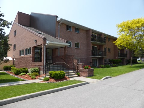 A brick building with a black awning and a tree with yellow flowers in front.