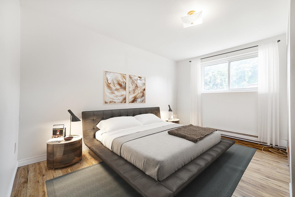 A bedroom with a large bed and a grey rug.