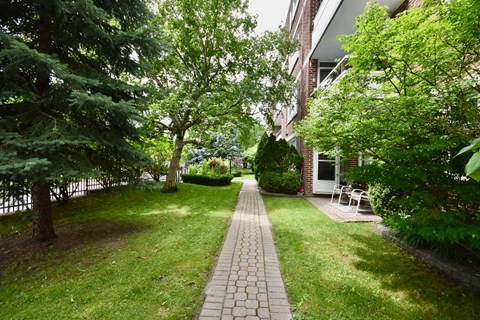 A pathway in a garden with a bench and trees.