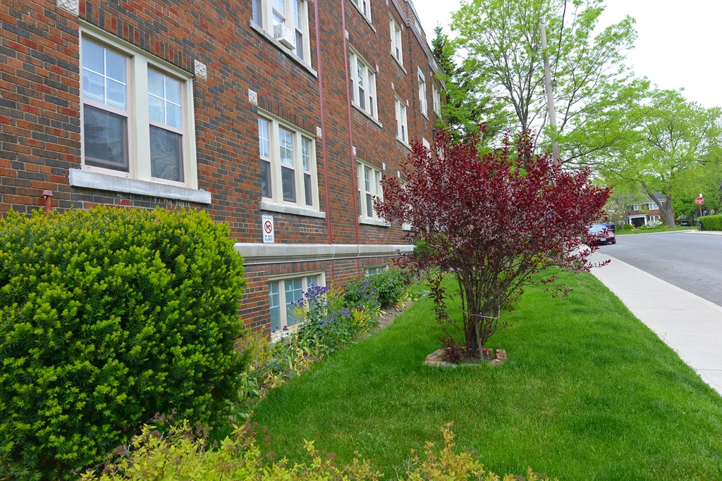 A red tree in front of a brick building.