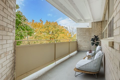 A balcony with a chair and a plant.