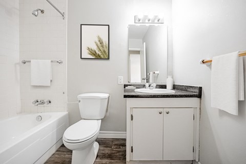 A white toilet sits next to a bathtub in a bathroom.