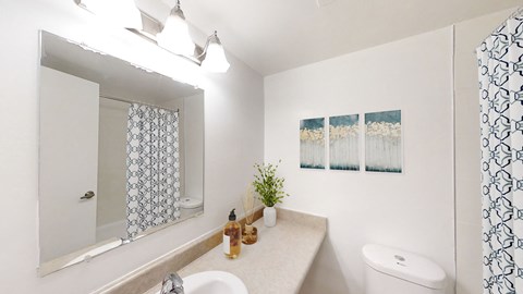 A bathroom with a white toilet, sink, and shower curtain.