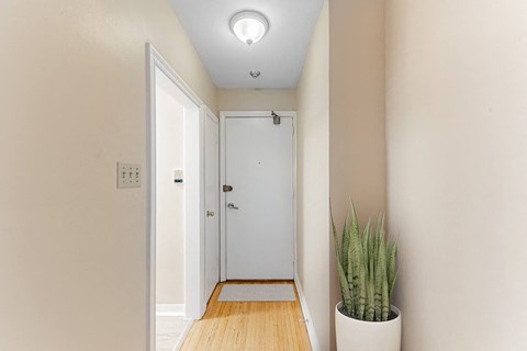 A white door is in a hallway with a plant on the right.