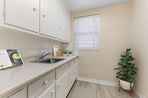 A kitchen with white cabinets and a plant on the floor.