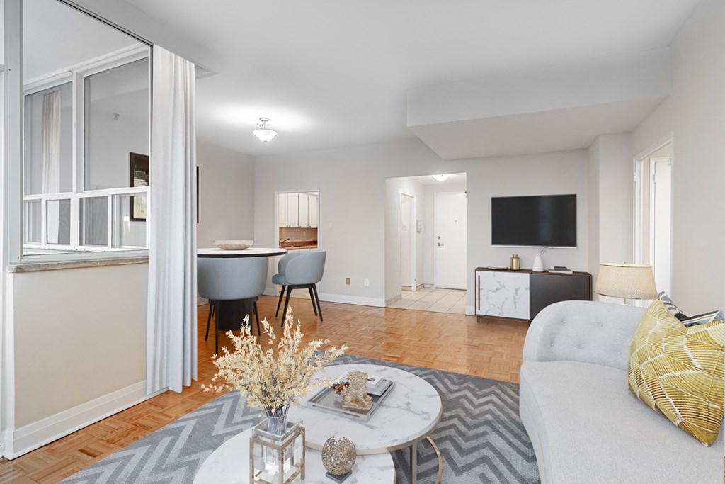A living room with a grey couch and a grey and white rug.