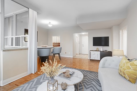 A living room with a grey couch and a grey and white rug.