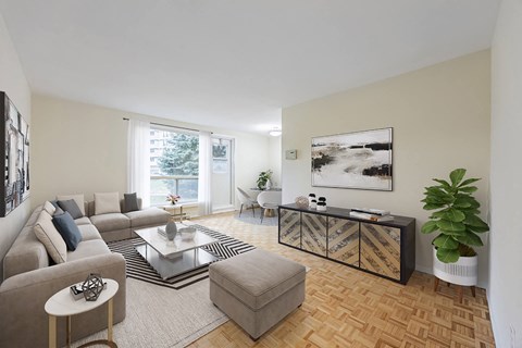A living room with a grey couch, a glass coffee table, and a plant.