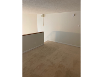 1460 Ghent Avenue 1-3 Beds Apartment for Rent - Photo Gallery 6