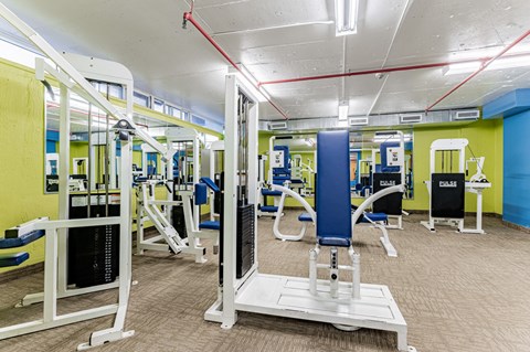 A gym with a variety of equipment including a squat rack, bench press, and a leg press machine.