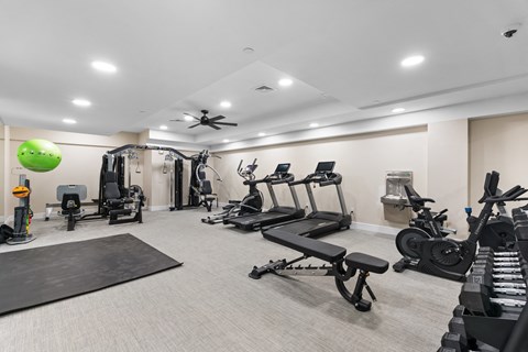 A well-equipped gym with a variety of exercise machines and a green exercise ball hanging from the ceiling.