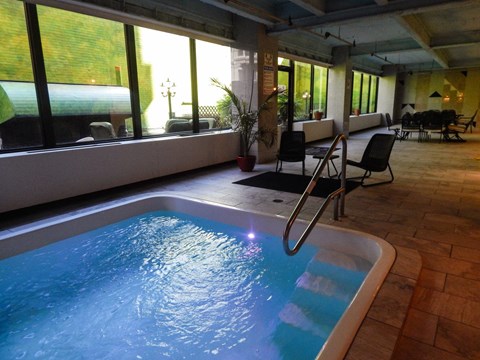 A small indoor pool with a ladder.
