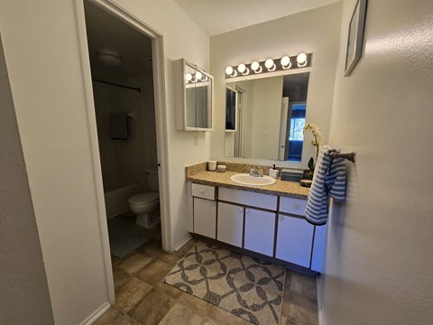 A bathroom with a sink, mirror, and toilet.