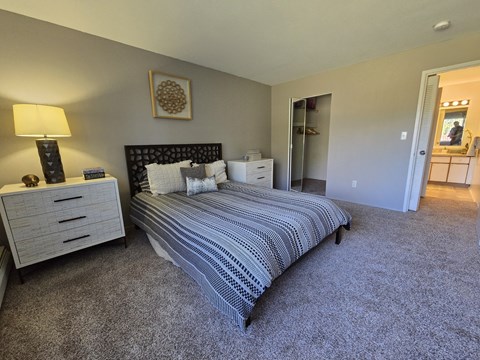 a bedroom with a bed and dressers and a closet