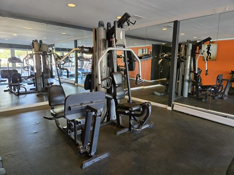 a gym with weights and cardio equipment in a building