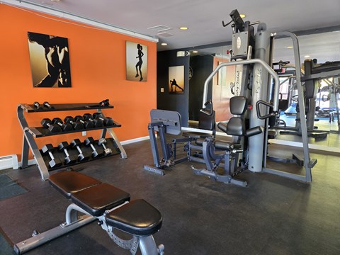 a gym with weights and cardio equipment in a building with orange walls