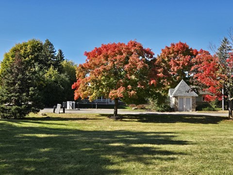 a park with a tree and a small building