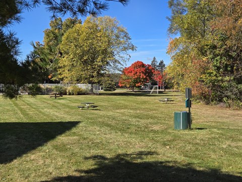 a park with benches in the grass and trees