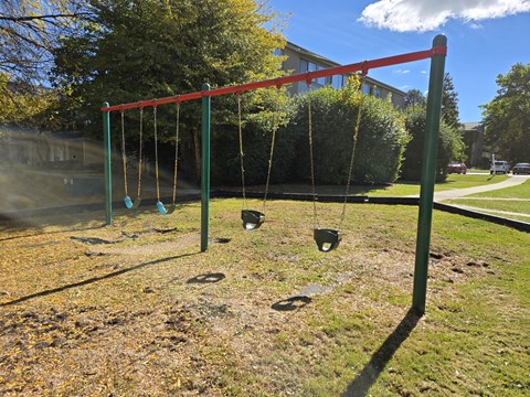 a swing set in a park with cups on it