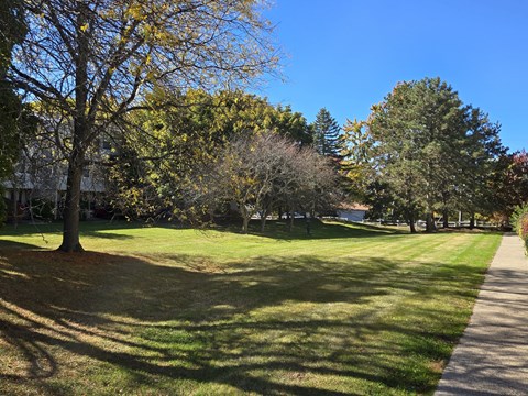 a park with grass and trees and a sidewalk