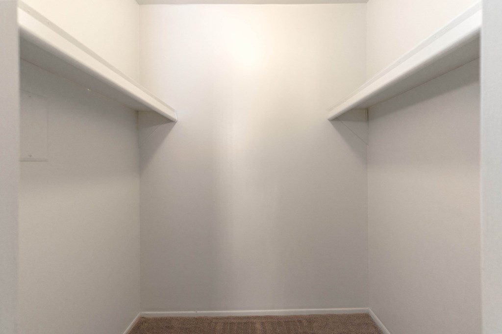 an empty room with two closets and a carpet