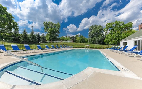 A large swimming pool surrounded by blue lounge chairs and trees.