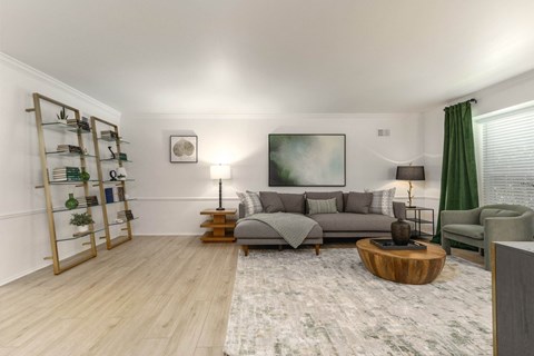 a living room with a gray couch and a rug