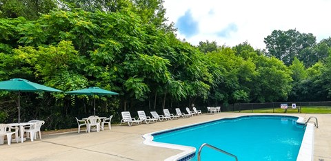 A pool surrounded by trees and chairs.